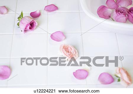 Stock Image - Rose petals floating in a washtub. Fotosearch
