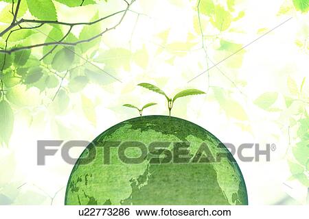 Seedlings growing from a green earth View Large Photo Image Stock Photograph - Seedlings growing from a green earth. Fotosearch