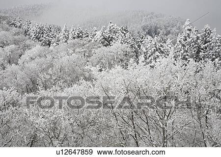 Snow covered mountains View Large Photo Image Stock Photo - Snow covered mountains. Fotosearch