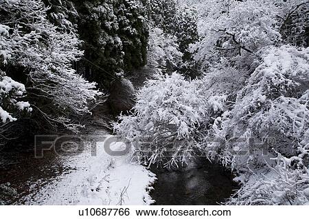 Snow covered trees surrounding a stream View Large Photo Image Stock Photograph - Snow covered trees surrounding a stream. Fotosearch