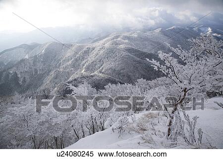 Stock Photography - Snowfall on forest covered mountains. Fotosearch