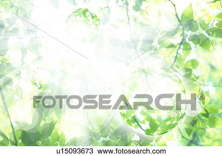 Stock Image - Spheres floating through green leafy branches. Fotosearch