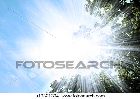 Sunlight shining through trees View Large Photo Image Picture - Sunlight shining through trees. Fotosearch