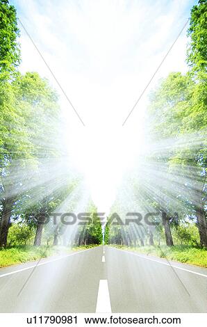 Stock Image - Sunlight shining through trees. Fotosearch