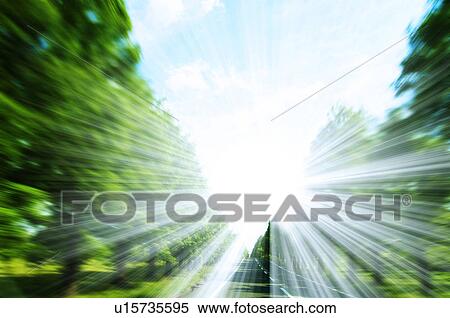 Sunlight shining through trees View Large Photo Image Stock Photography - Sunlight shining through trees. Fotosearch
