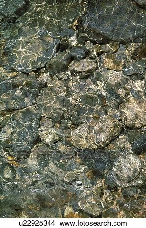 Surface of a river View Large Photo Image Picture - Surface of a river. Fotosearch