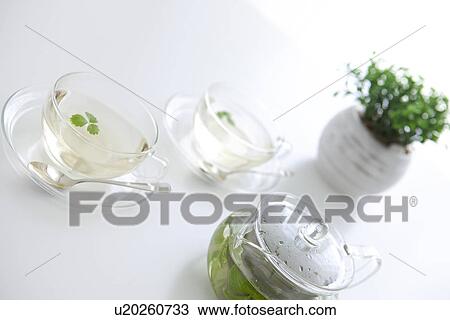 Stock Image - Two cups of herbal tea and a potted plant. Fotosearch