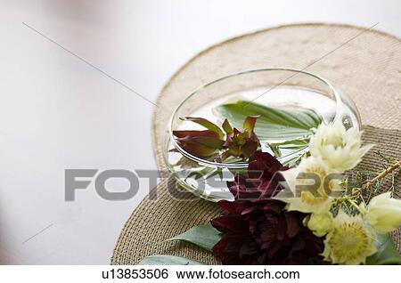 Vase of Hosta on water and Dahlia View Large Photo Image Stock Photograph - Vase of Hosta on water and Dahlia. Fotosearch