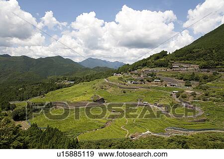 Village on terraced rice field View Large Photo Image Stock Photo - Village on terraced rice field. Fotosearch