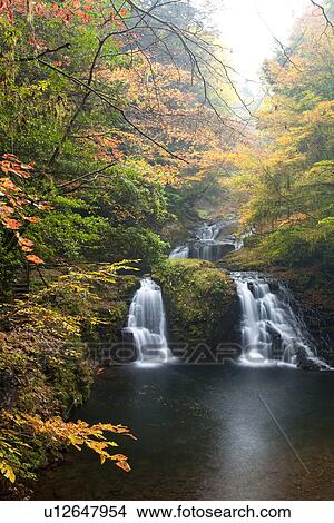 Picture - Waterfall in autumnal forest. Fotosearch