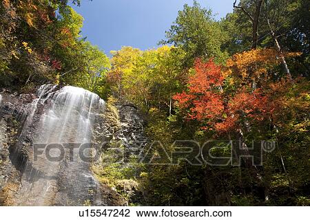Stock Image - Waterfall in autumnal forest. Fotosearch