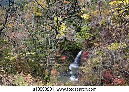 Stock Image - Waterfall in autumnal forest. Fotosearch