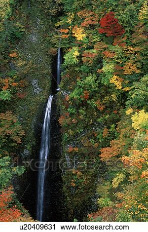 Waterfall in autumnal forest View Large Photo Image Stock Image - Waterfall in autumnal forest. Fotosearch