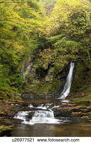 Waterfall in autumnal forest View Large Photo Image Stock Image - Waterfall in autumnal forest. Fotosearch
