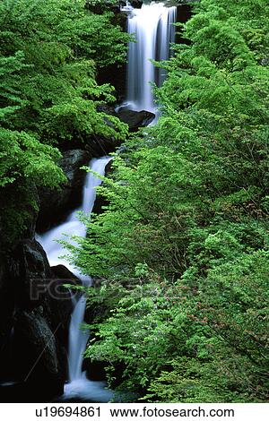 Stock Image - Waterfall surrounded by green trees. Fotosearch