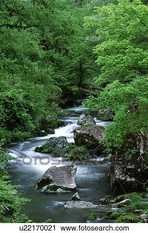 Waterfall surrounded by green trees View Large Photo Image Stock Image - Waterfall surrounded by green trees. Fotosearch