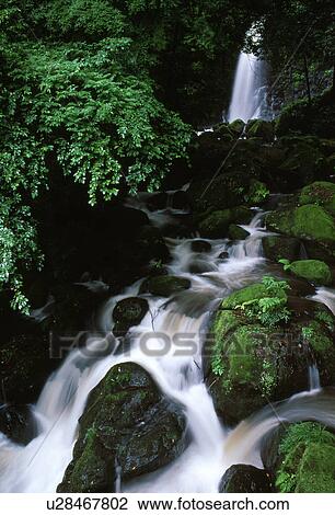 Stock Image - Waterfall with trees. Fotosearch