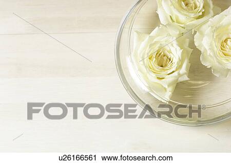 Stock Image - White roses floating in bowl of water. Fotosearch