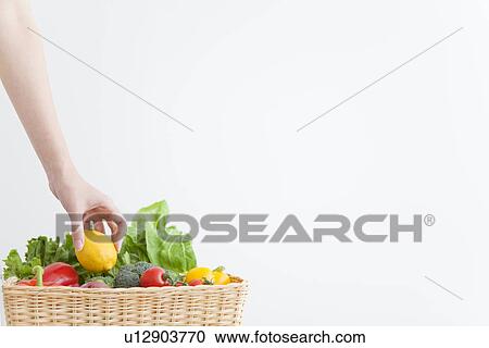 Woman carrying basket with fresh vegetables View Large Photo Image Stock Image - Woman carrying basket with fresh vegetables. Fotosearch