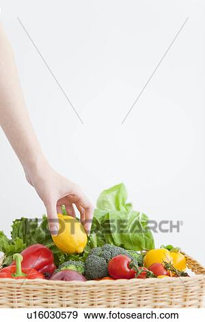 Woman carrying basket with fresh vegetables View Large Photo Image Stock Photo - Woman carrying basket with fresh vegetables. Fotosearch