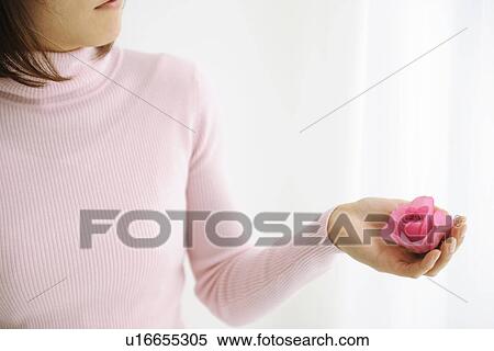 Woman holding pink rose View Large Photo Image Stock Photography - Woman holding pink rose. Fotosearch
