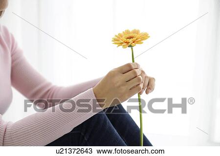 Stock Image - Woman holding yellow gerbera. Fotosearch