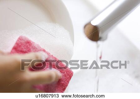 Woman washing dishes in sink View Large Photo Image Stock Image - Woman washing dishes in sink. Fotosearch