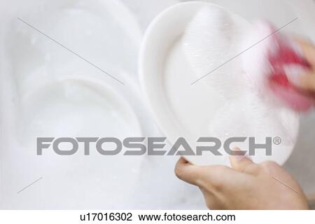 Woman washing dishes in sink View Large Photo Image Stock Image - Woman washing dishes in sink. Fotosearch