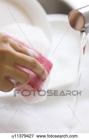 Stock Photo - Woman washing dishes in sink. Fotosearch