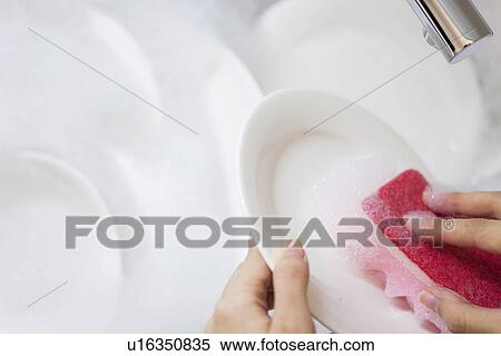 Woman washing dishes in sink View Large Photo Image Stock Photography - Woman washing dishes in sink. Fotosearch