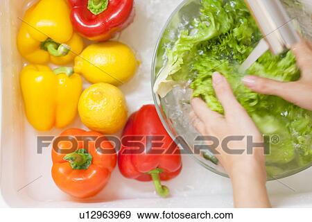 Woman washing lettuce View Large Photo Image Stock Photo - Woman washing lettuce. Fotosearch