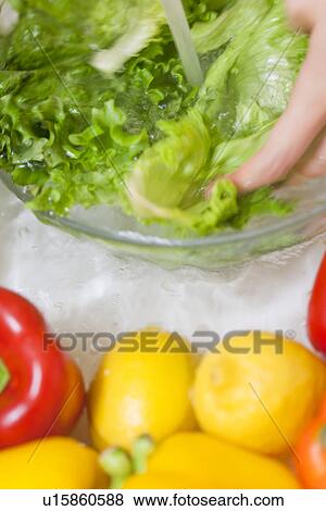 Woman washing lettuce View Large Photo Image Stock Photo - Woman washing lettuce. Fotosearch