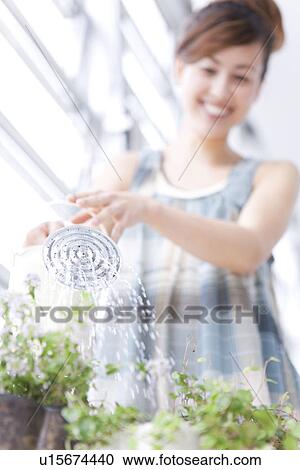 Stock Image - Woman watering pot plants. Fotosearch