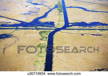 Picture - Aerial view of marsh. Fotosearch