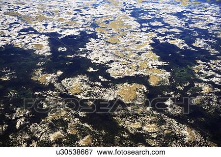 Aerial view of marsh View Large Photo Image Stock Photo - Aerial view of marsh. Fotosearch