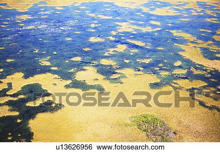 Aerial view of marsh View Large Photo Image Stock Photograph - Aerial view of marsh. Fotosearch