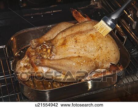 Basting a turkey View Large Photo Image Stock Image - Basting a turkey. Fotosearch