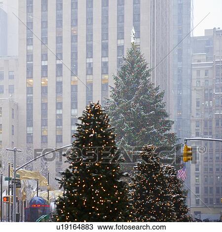 Stock Image - Christmas trees downtown. Fotosearch