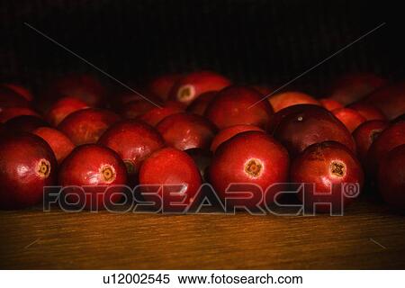 Stock Photography - Cranberries. Fotosearch