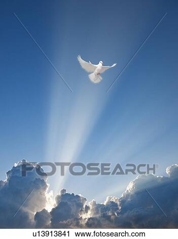 Stock Image - Dove and clouds. Fotosearch