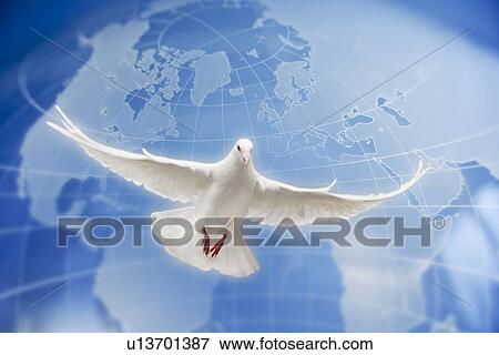 Stock Photo - Dove flying globe in background. Fotosearch