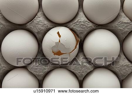 Eggs in carton View Large Photo Image Stock Image - Eggs in carton. Fotosearch