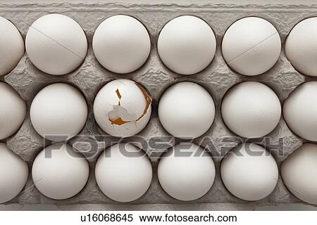Eggs in carton View Large Photo Image Stock Photography - Eggs in carton. Fotosearch