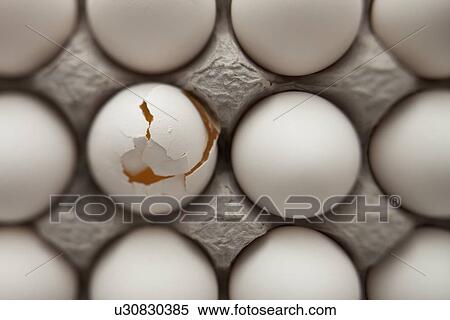 Stock Photography - Eggs in carton. Fotosearch