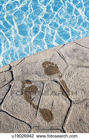 Footprints by the pool View Large Photo Image Stock Image - Footprints by the pool. Fotosearch