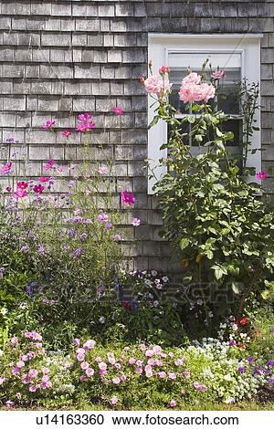 Garden View Large Photo Image Stock Image - Garden. Fotosearch