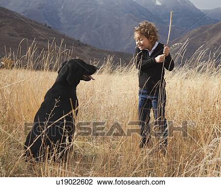 Girl playing fetch with dog View Large Photo Image Stock Image - Girl playing fetch with dog. Fotosearch