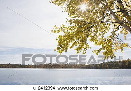 Picture - Lake. Fotosearch
