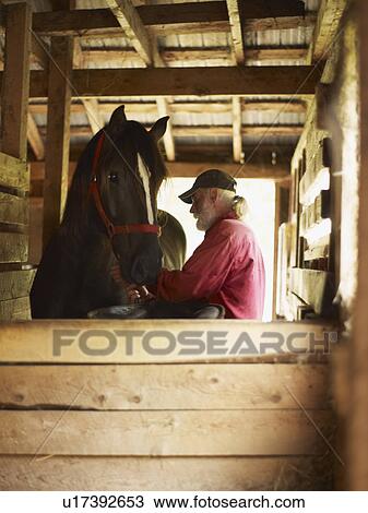 Man and horse in stable View Large Photo Image Stock Image - Man and horse in stable. Fotosearch