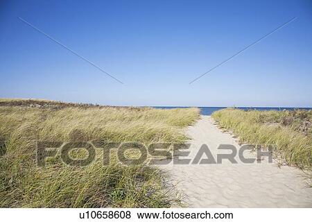 Stock Photo - Path to the beach. Fotosearch